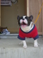 DSC00003.JPG